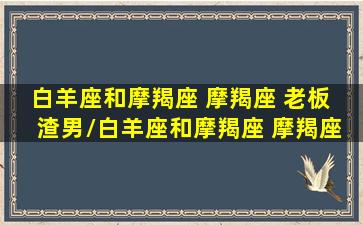 白羊座和摩羯座 摩羯座 老板  渣男/白羊座和摩羯座 摩羯座 老板  渣男-我的网站